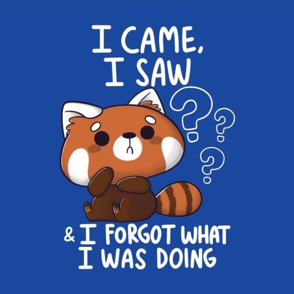 Mens/Unisex XL Blue T-Shirt Tee with Red Panda Graphic - Picture 2 of 6